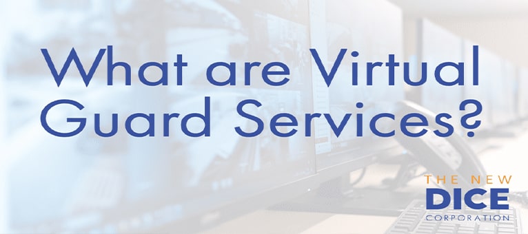 Virtual Guard services